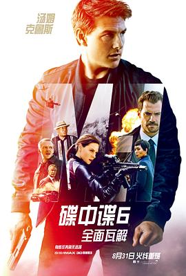 《姐夫的独宠》海报
